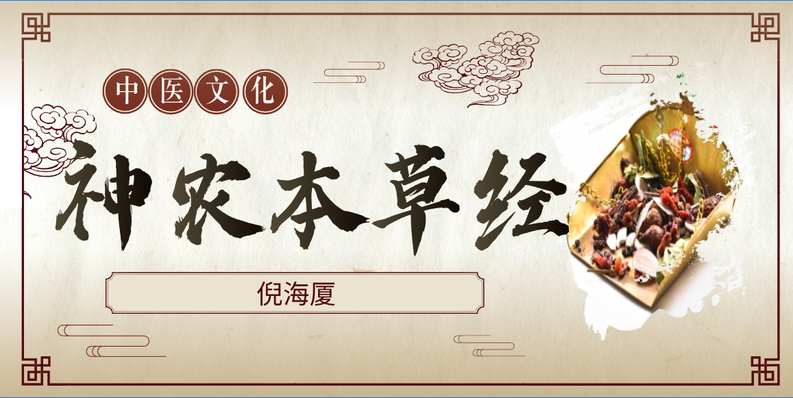 倪海厦-神农本草经